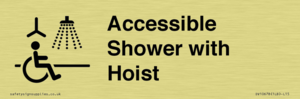 Accessible Shower with Hoist